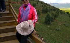 玩dnf成植物人新闻